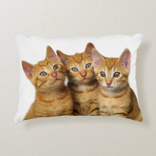 Tre Cute Ginger Cat Kittens Friends Head Photo - Prydnadskudde