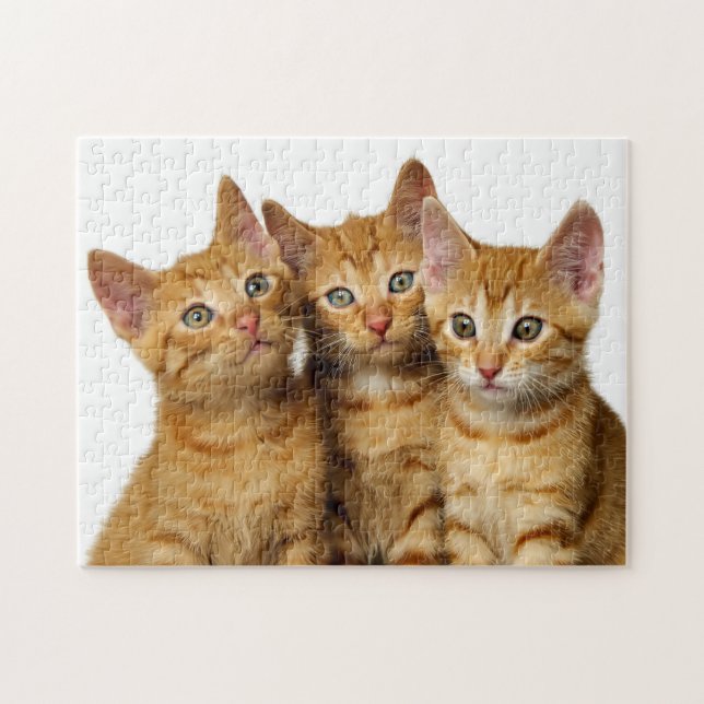 Tre Cute Ginger Cat Kittens Friends Head Photo - Pussel (Horisontell)