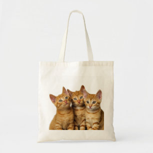 Tre Cute Ginger Cat Kittens Friends Head Photo - Tygkasse