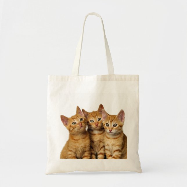 Tre Cute Ginger Cat Kittens Friends Head Photo - Tygkasse (Framsidan)