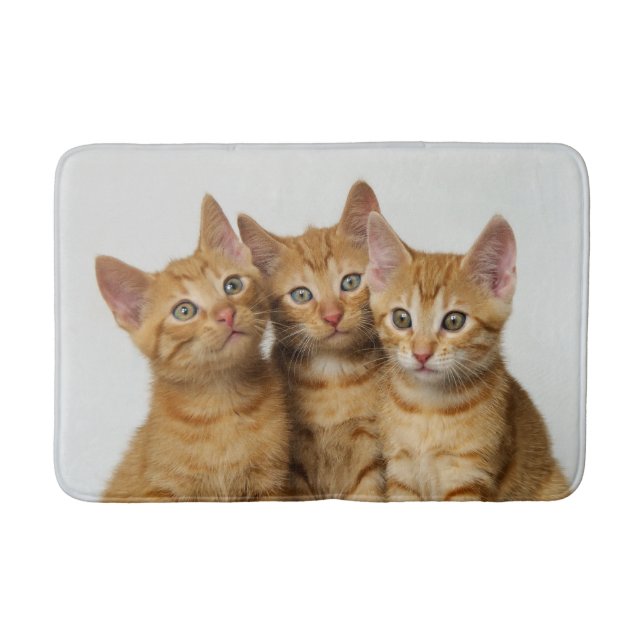 Tre Cute Ginger Kittens Side, Matta (Framsidan)