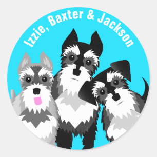 Tre Cute Schnauzers Runt Klistermärke
