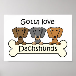 Tre Dachshunds Poster