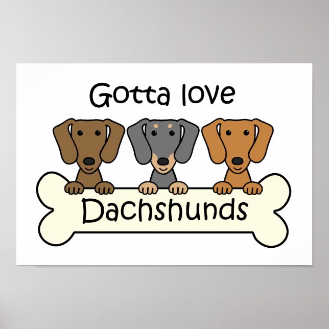 Tre Dachshunds Poster (Framsidan)