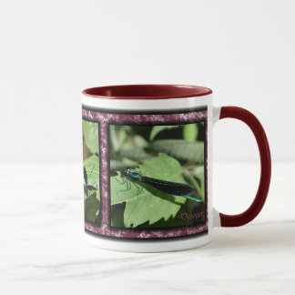 Tre Damselflies 01 Mugg