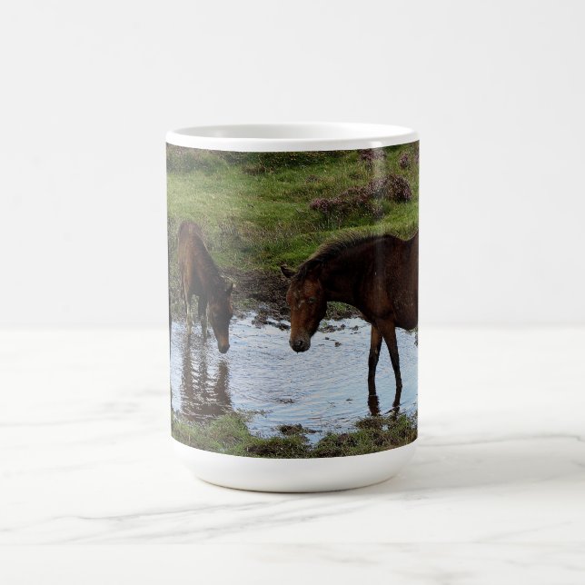 Tre Dartmoor ponnyer som dricker på att bevattna Kaffemugg (Center)