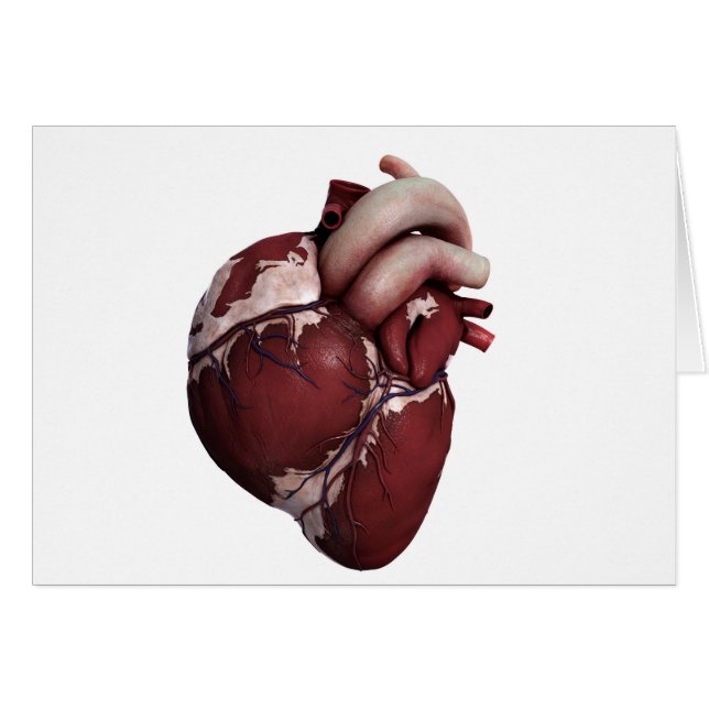Tre dimensioner av humant hjärta, framsida hälsningskort (Framsidan Horizontal)