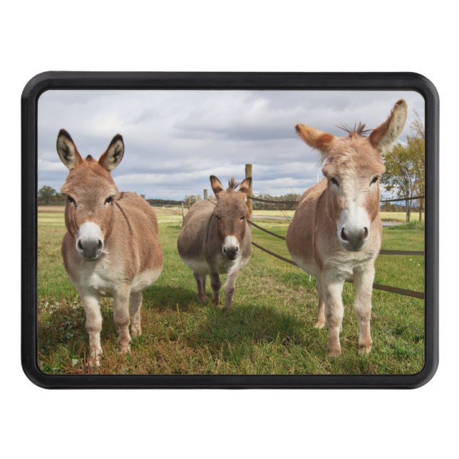 Tre Donkey's Dragkroksskydd (Framsidan)