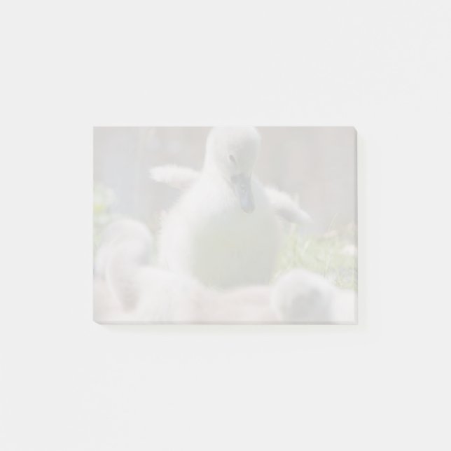 Tre ducklings för babysvanCygnet som tillsammans Post-it Block (Framsida)