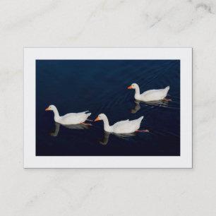 Tre emden Geese (gränsad) Visitkort