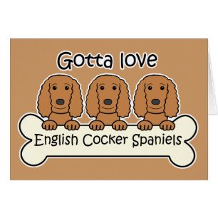 Tre engelskacockerspanielSpaniels OBS Kort