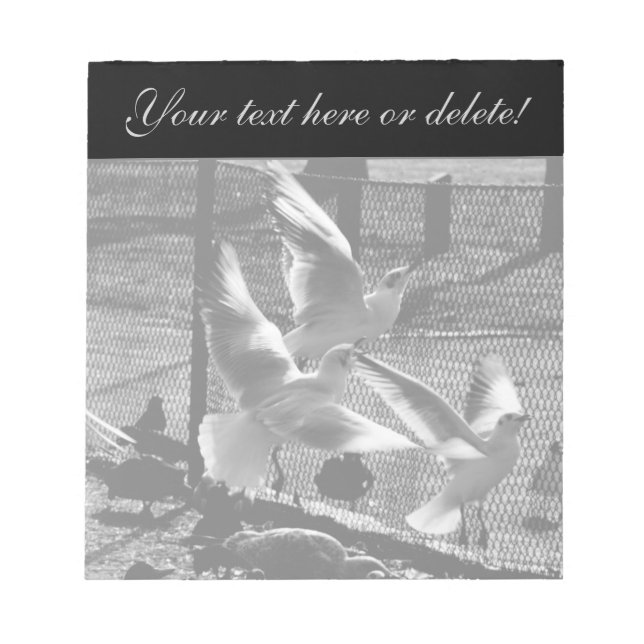 Tre fåglar anteckningsblock (Framsida)