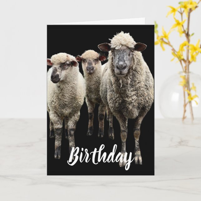 TRE FÅRFOTO PÅ BLACK BIRTHDAY GREETING CARD KORT (Gul blomma)