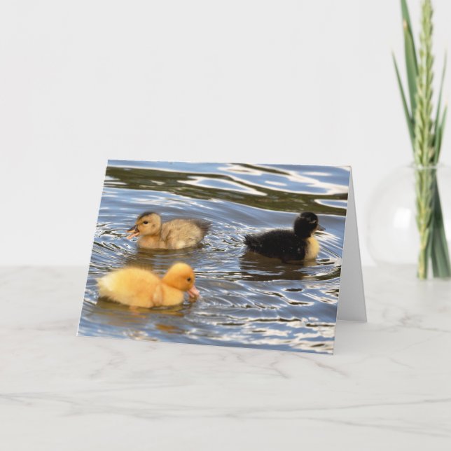 Tre färgade ducklings kort (Framsida)