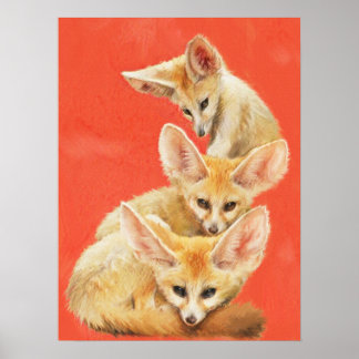 Tre Fennec Fox-paket Poster