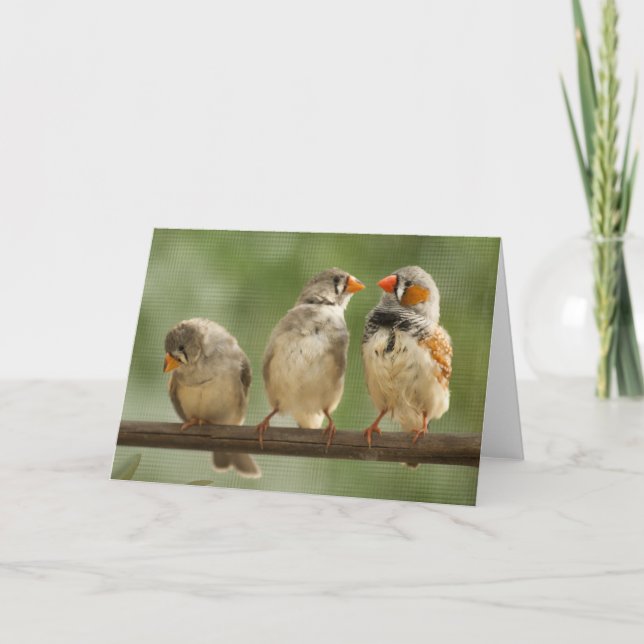 Tre Finches på en Twig Kort (Framsida)