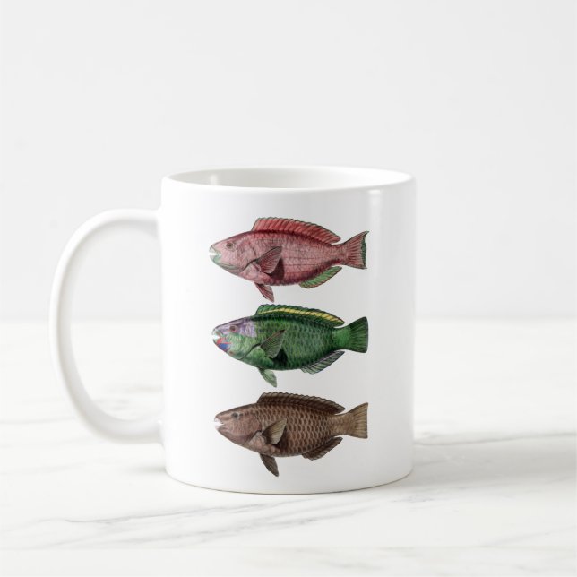 Tre fiskar, papegojfisk Mugg (Vänster)