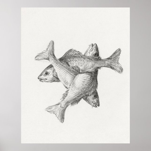 Tre fiskar poster (Framsidan)