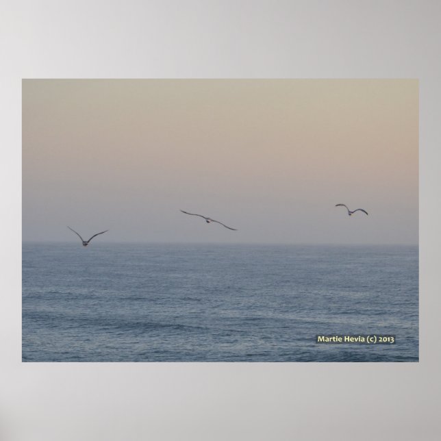 Tre Fiskmåsar Poster (Framsidan)