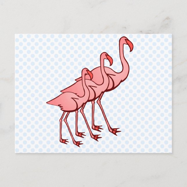 Tre Flamingos Vykort (Framsida)