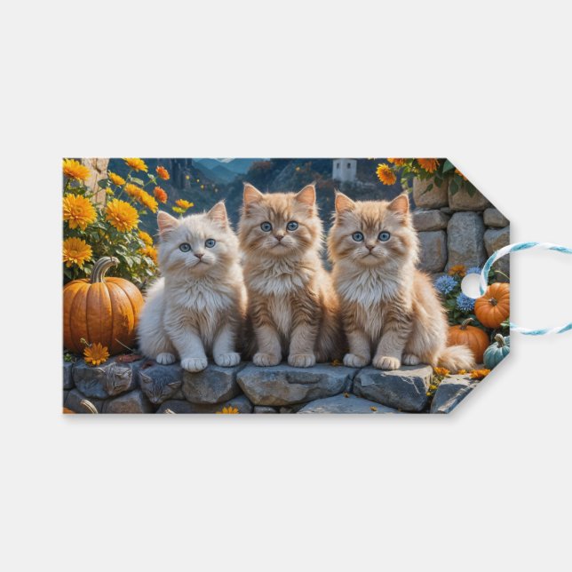 Tre fluffy Autumn Kittens med Pumpkins och Morsa Presentetikett (Framsidan (Horisontell))