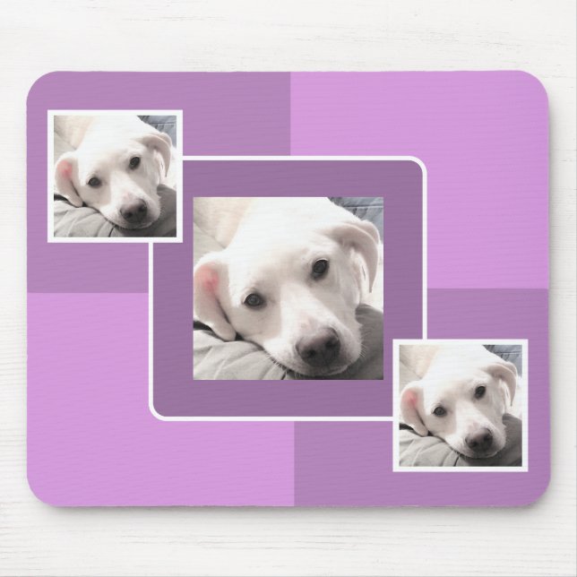 Tre foto Modern Square Design Lila Musmatta (Framsidan)