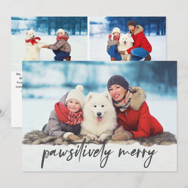 Tre foto Pet som säger Pawsitively Merry Julkort (Fram/baksida)