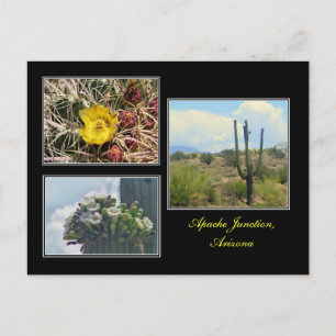 tre foton från Apache Junction Arizona-vykort Vykort