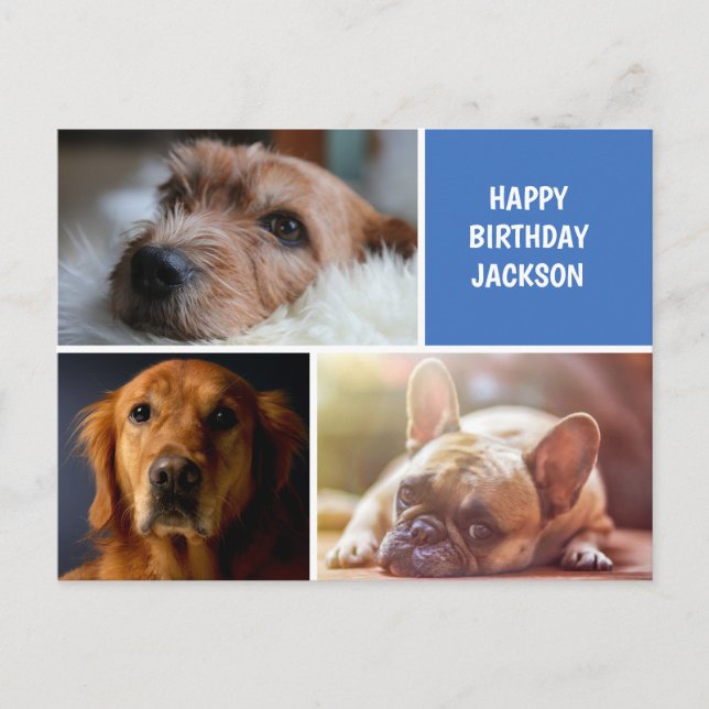 Tre fotosamlingar, Anpassningsbar födelsedag Vykort (Framsida)