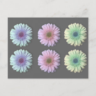Tre Gerbera-Daisyn Vykort