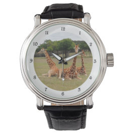 Tre Giraffe vid Fossil Rim Armbandsur