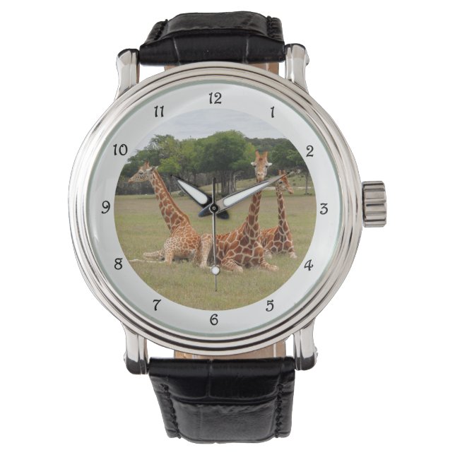 Tre Giraffe vid Fossil Rim Armbandsur (Framsida)