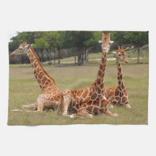 Tre Giraffe vid Fossil Rim Kökshandduk