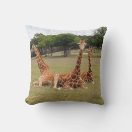 Tre Giraffe vid Fossil Rim Kudde
