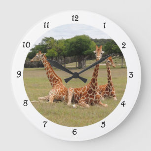 Tre Giraffe vid Fossil Rim Wall Clack Stor Klocka