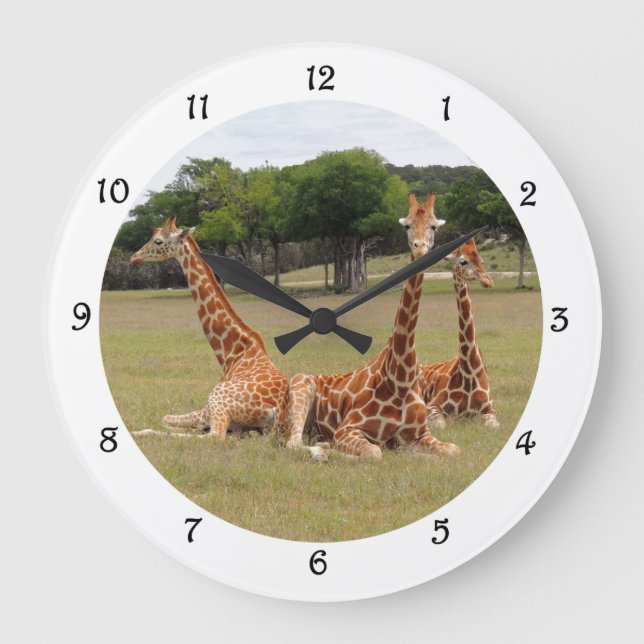 Tre Giraffe vid Fossil Rim Wall Clack Stor Klocka (Framsida)