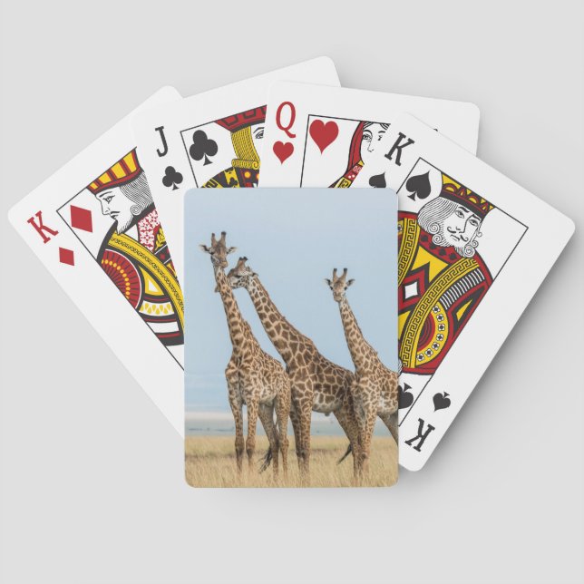 Tre giraffer poserar casinokort (Baksidan)