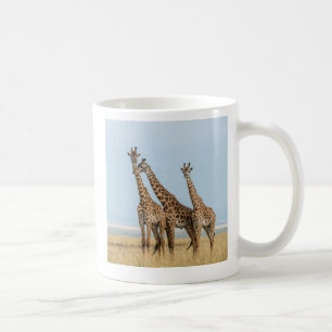 Tre giraffer poserar kaffemugg
