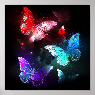 Tre Glowing Butterflies på nattbakgrund Poster