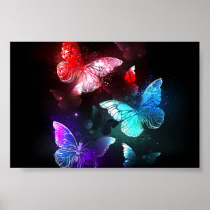 Tre Glowing Butterflies på nattbakgrund Poster