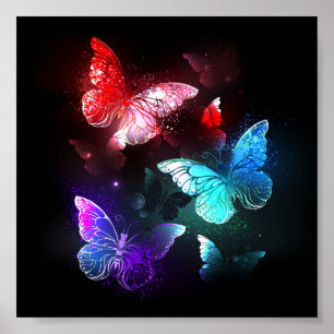 Tre Glowing Butterflies på nattbakgrund Poster