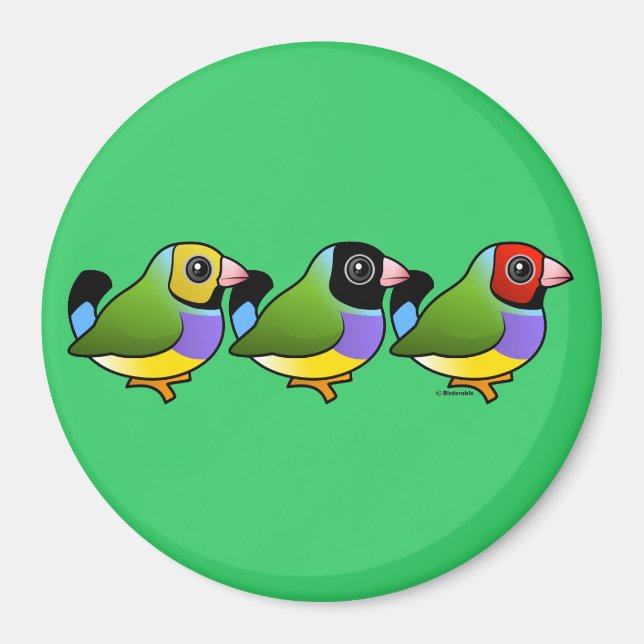 Tre gouldian Finches Magnet (Framsidan)