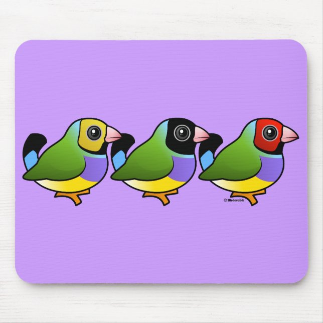 Tre Gouldian Finches Musmatta (Framsidan)
