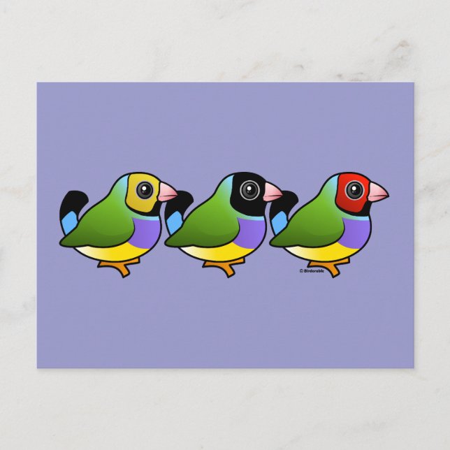 Tre gouldian Finches Vykort (Framsida)
