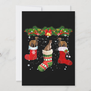 Tre Greyhound Hund I Strumpa Jul Tomte Julkort