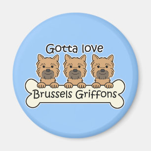 Tre Griffons i Bryssel Magnet