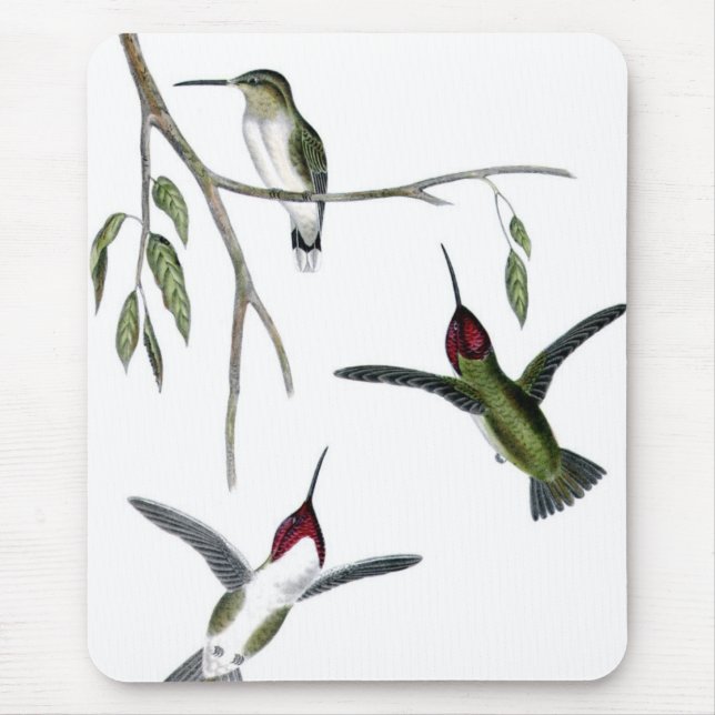 Tre gröna Hummingbirds Musmatta (Framsidan)