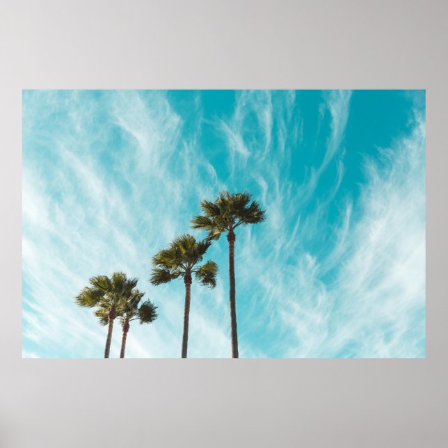 Tre gröntar löv träd under cirusmoln poster (Framsidan)