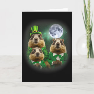 Tre Groundhog Månad 3 Groundhog Day Head St Patri Kort