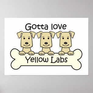 Tre gula labb poster